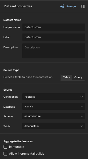 The Dataset properties panel.